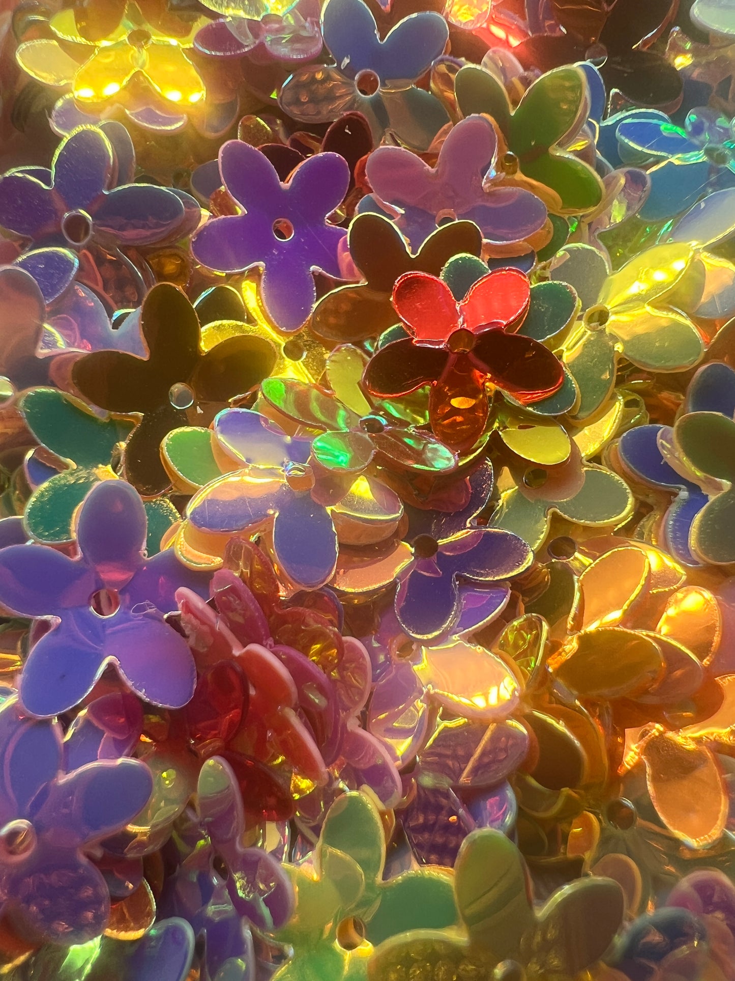 Flores